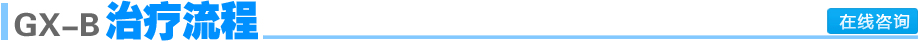 GX-B��������