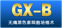 GX-B��ʹ��ɫ��ϸ����ֲ��